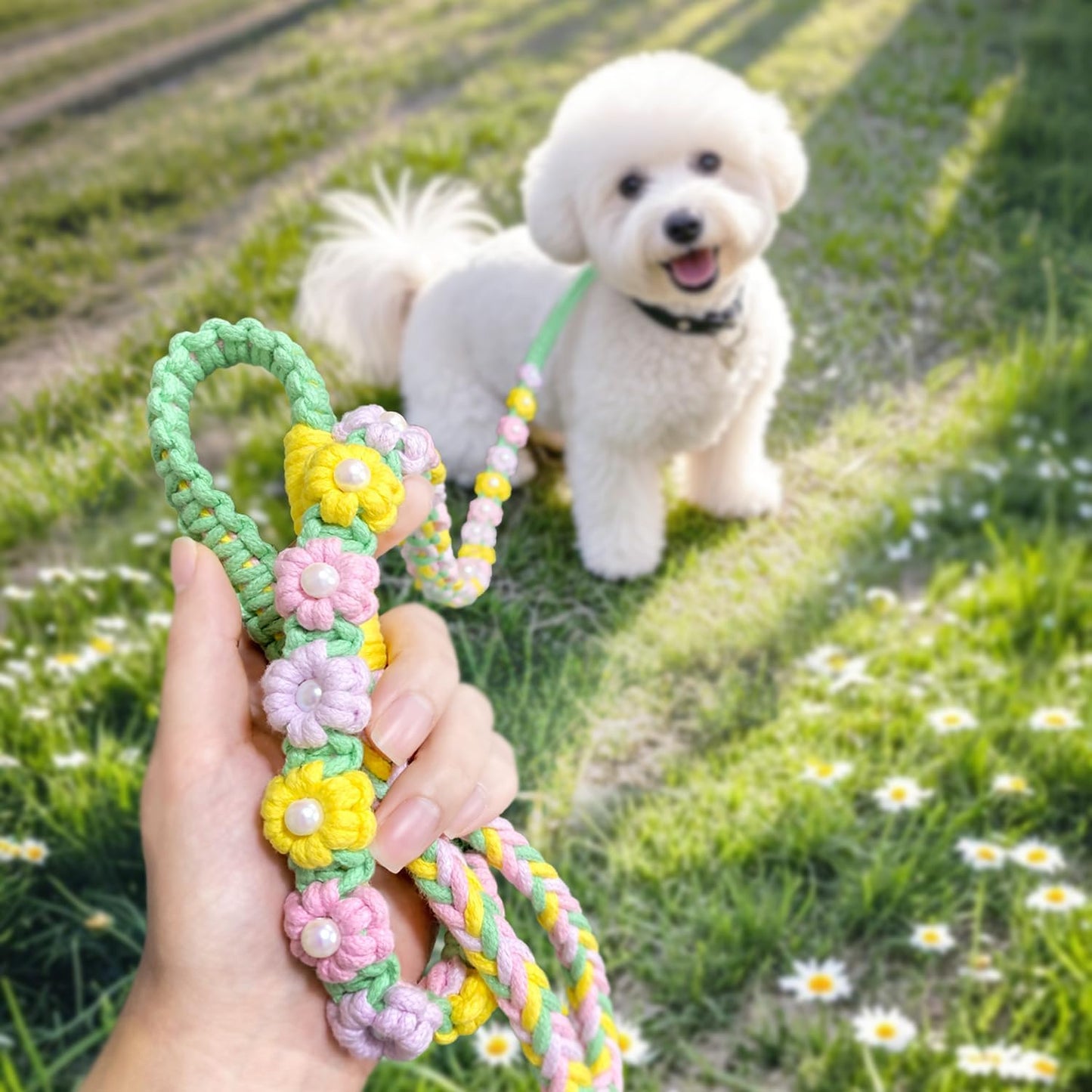 Correa trenzada floral para perros pequeños y medianos
