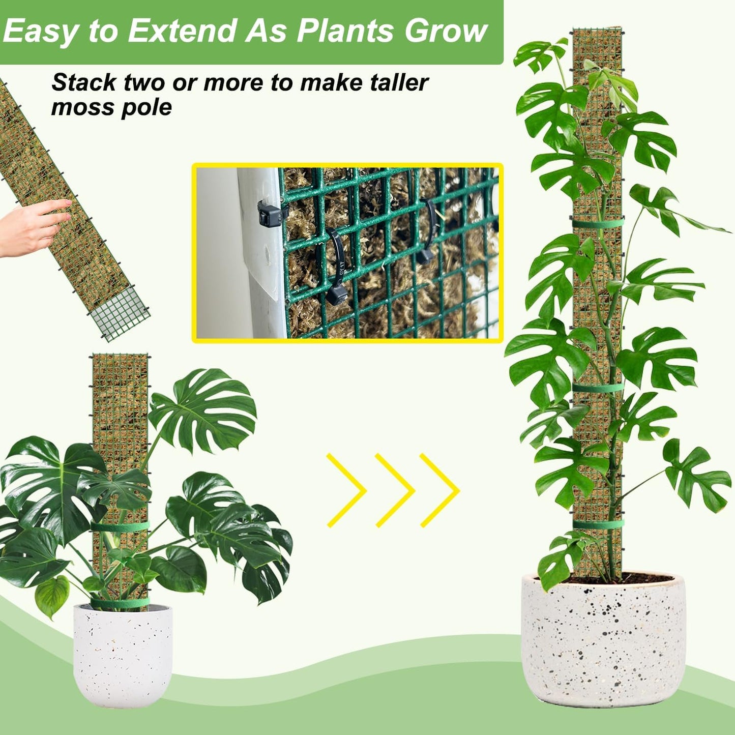 Poste musgo forma D para plantas trepadoras 6 pzas 24"