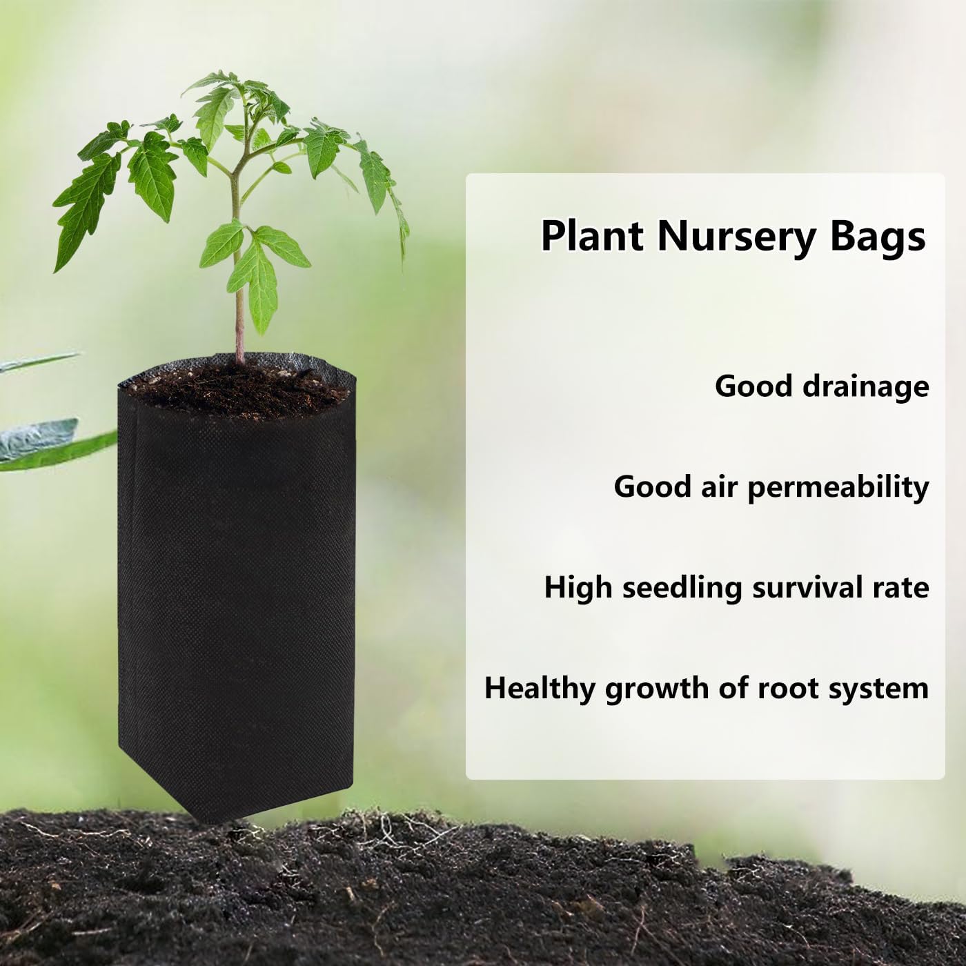 100 Pzas Bolsas Cultivo 10.2pulg Negro