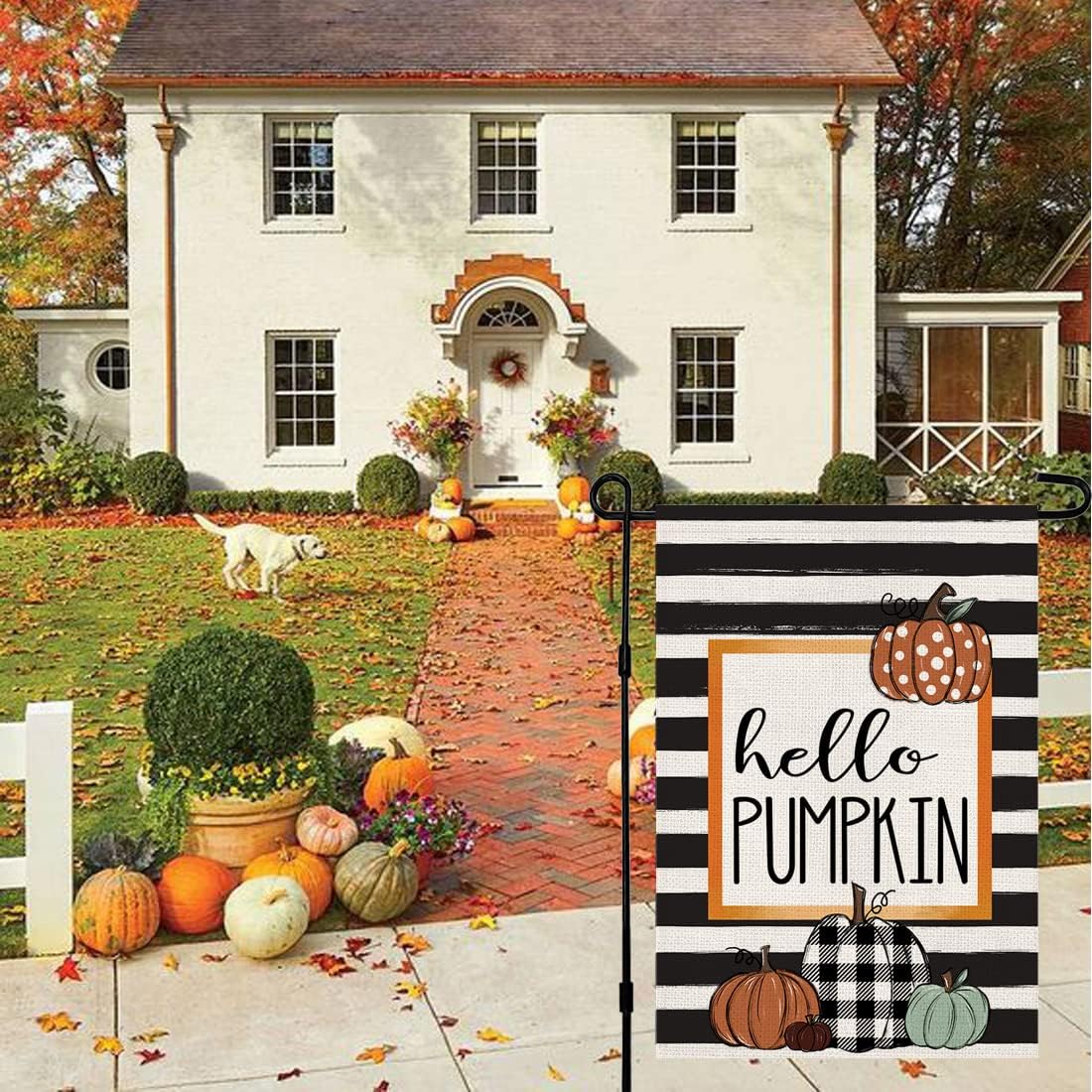 Bandera jardín otoño 12x18pulg doble cara Hello Pumpkin