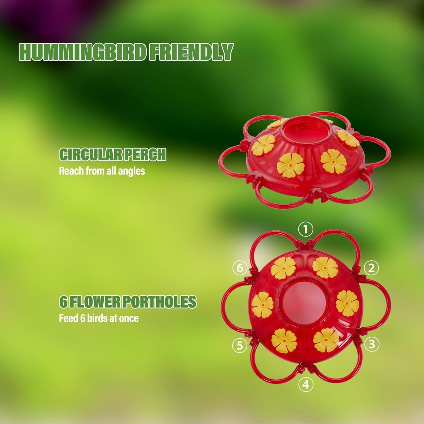 Comedero colibríes vidrio 20oz con protec. hormigas