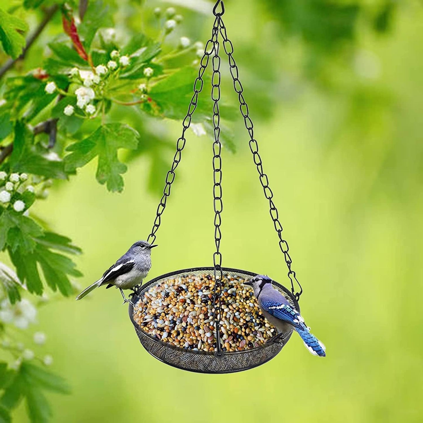 Comedero colgante para pájaros al aire libre 3 Pzas