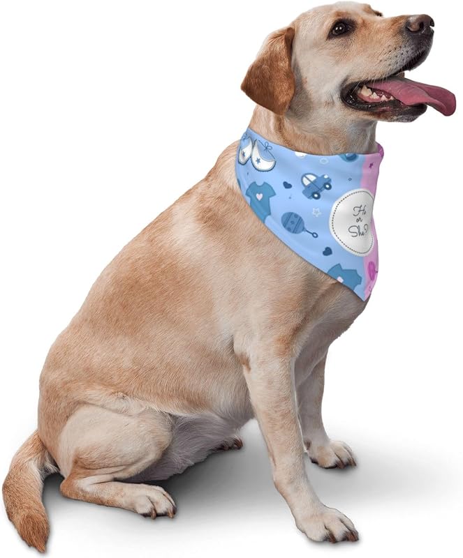 Bandana perro revelación género uso diario rosa