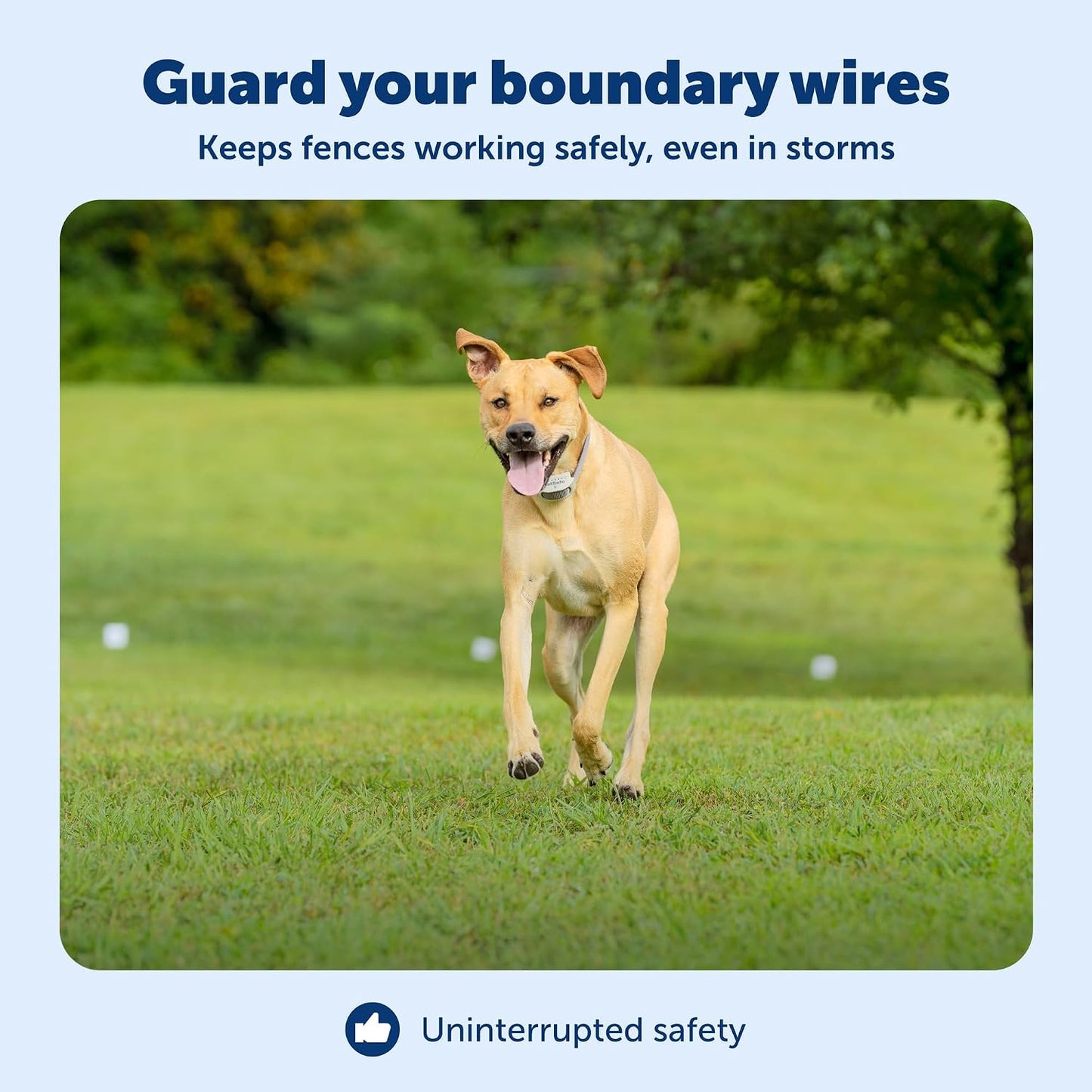 Protector sobretensiones para cercas de mascotas duradero