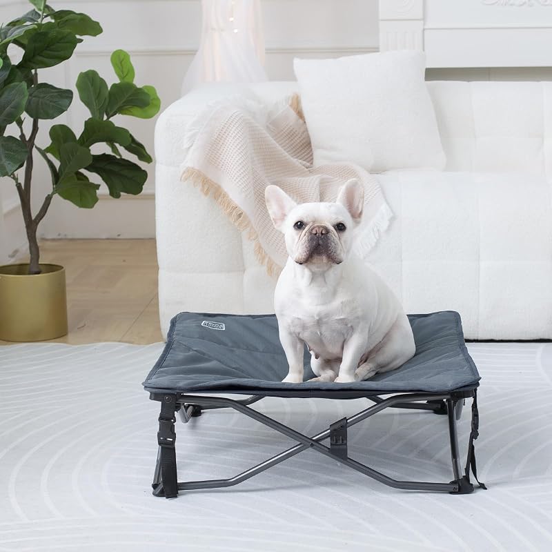 Cama elevada para perro portátil plegable con alfombrilla gris