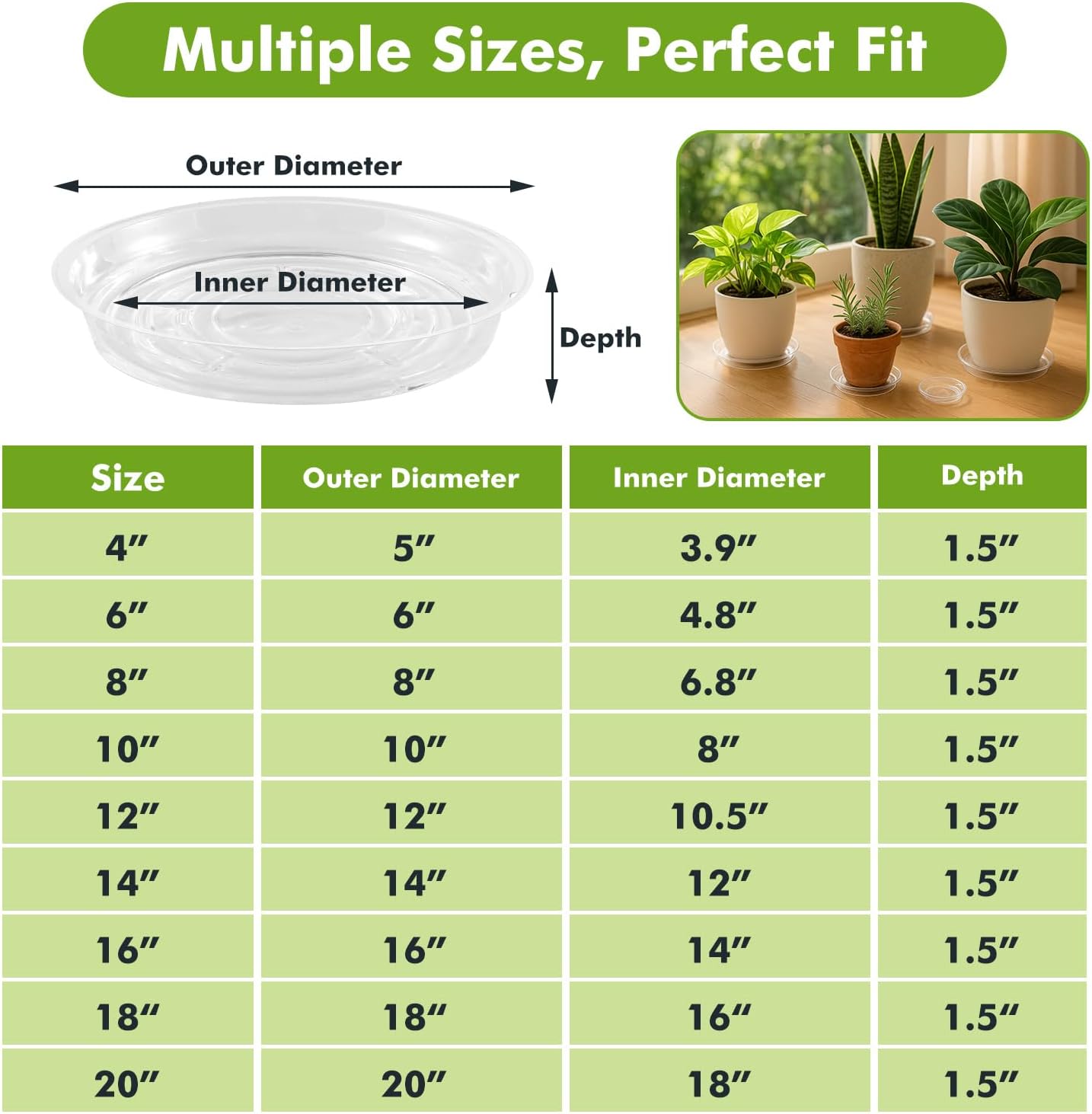 50 Pzas Platillos Transparentes 6" para Plantas Resistentes