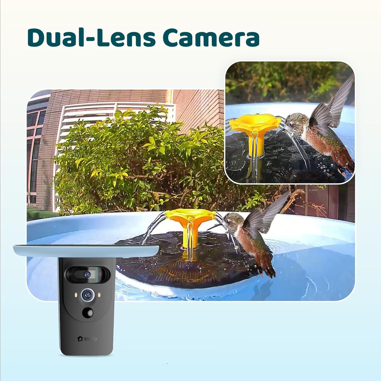 Baño inteligente para pájaros con cámara solar doble lente