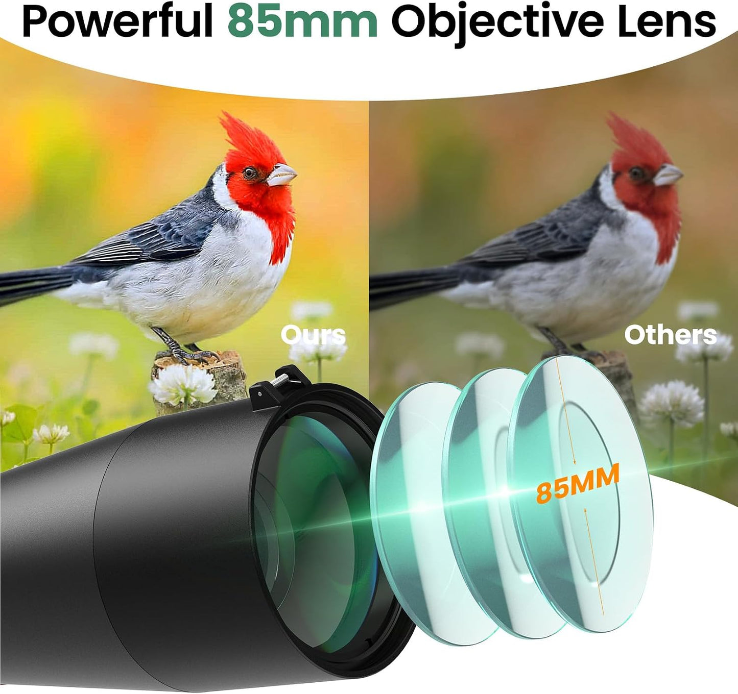 Alcance observación 20-60x85 trípode adaptador teléfono
