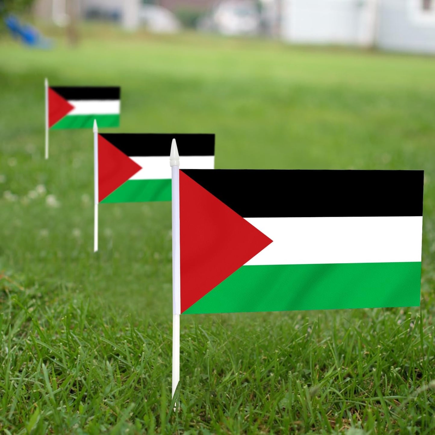 12 Banderas Palestinas Mini 5x8pulg Poste Sólido
