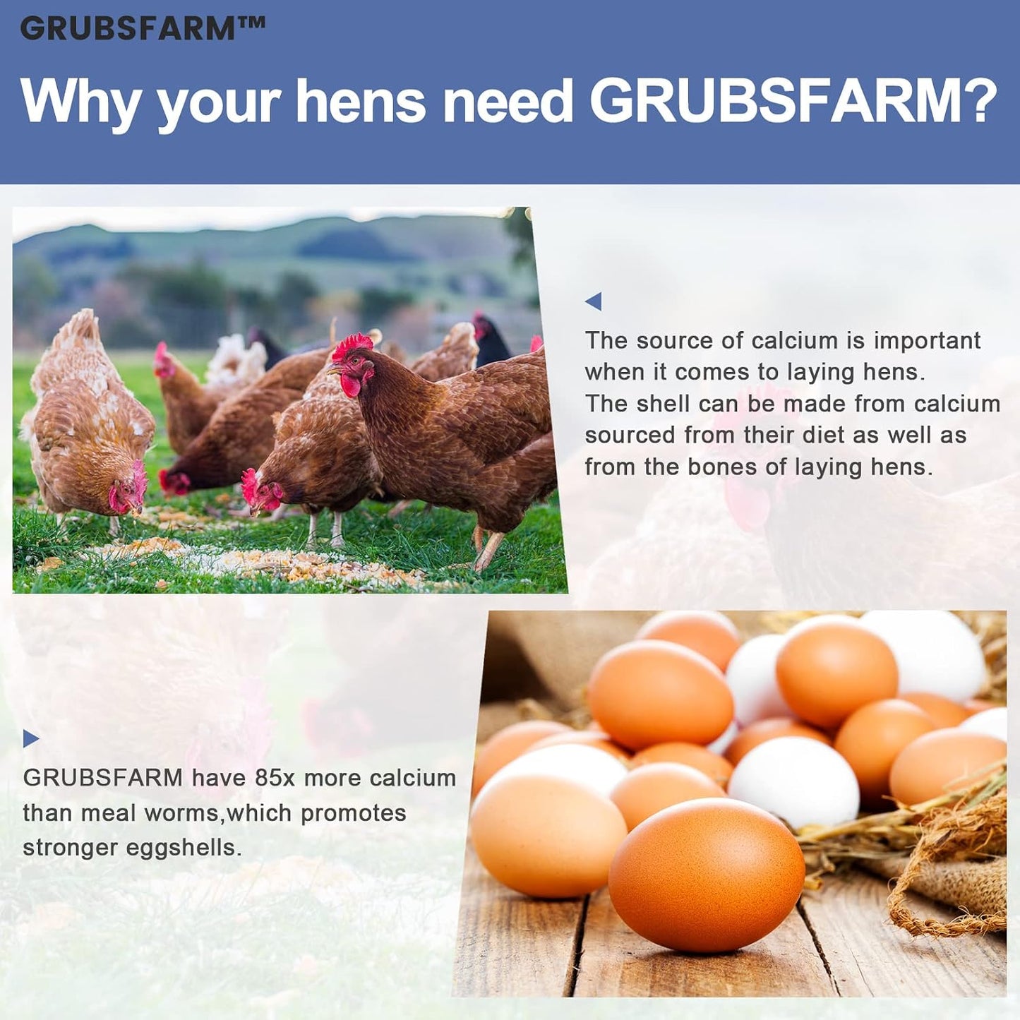 Golosinas de larvas BSF para gallinas patos y aves 10lb sin