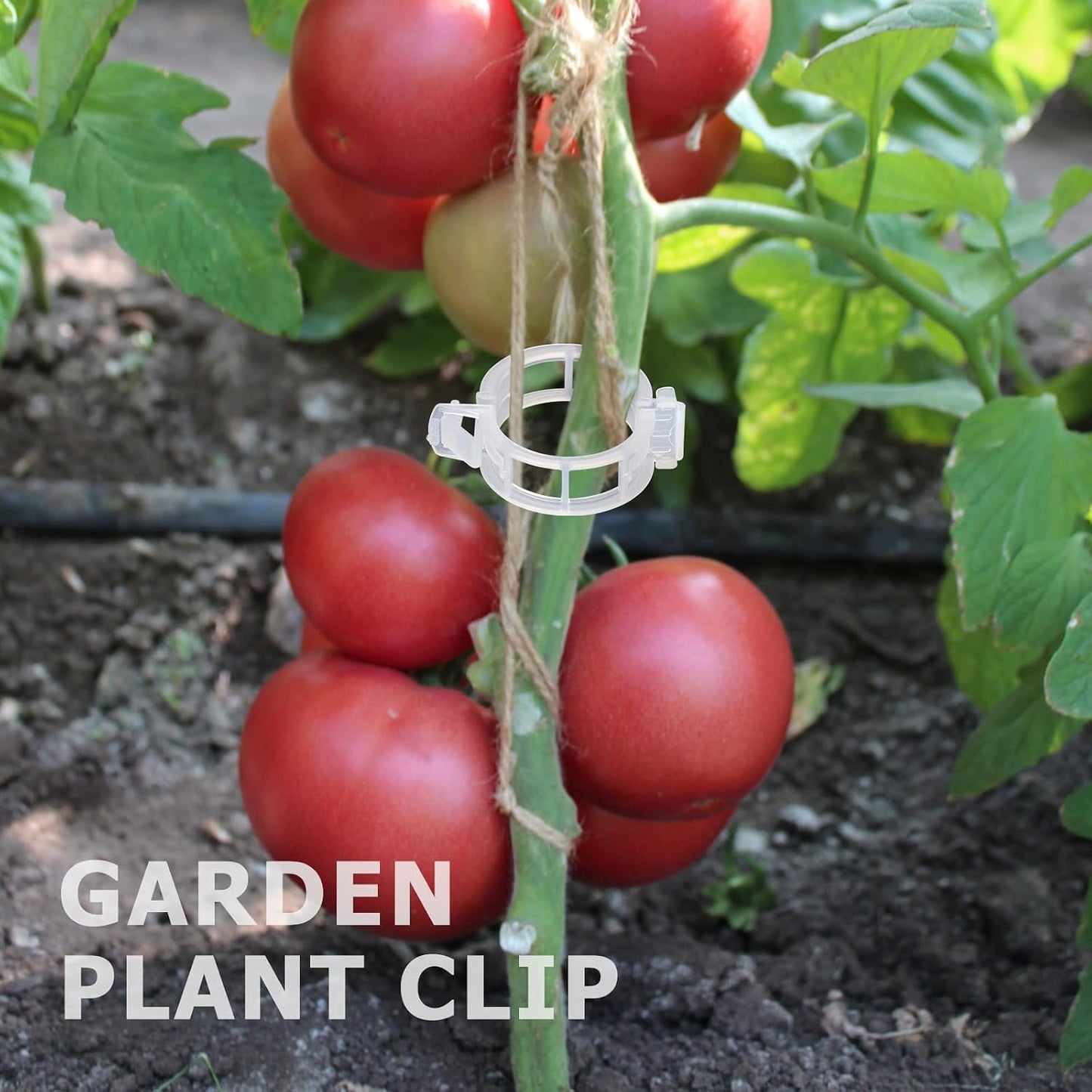 100 Clips Soporte para Plantas Trepadoras y Tomates