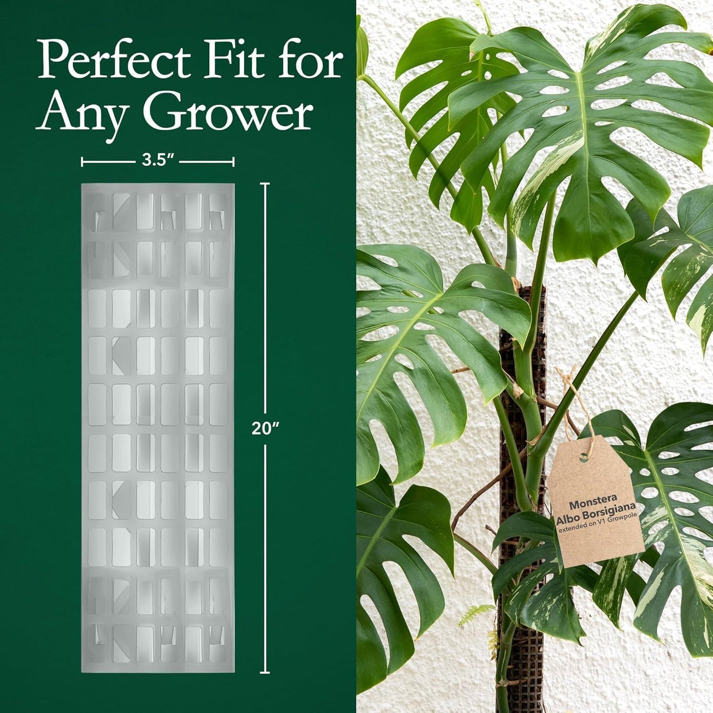 Poste trepador plástico apilable para plantas Monstera