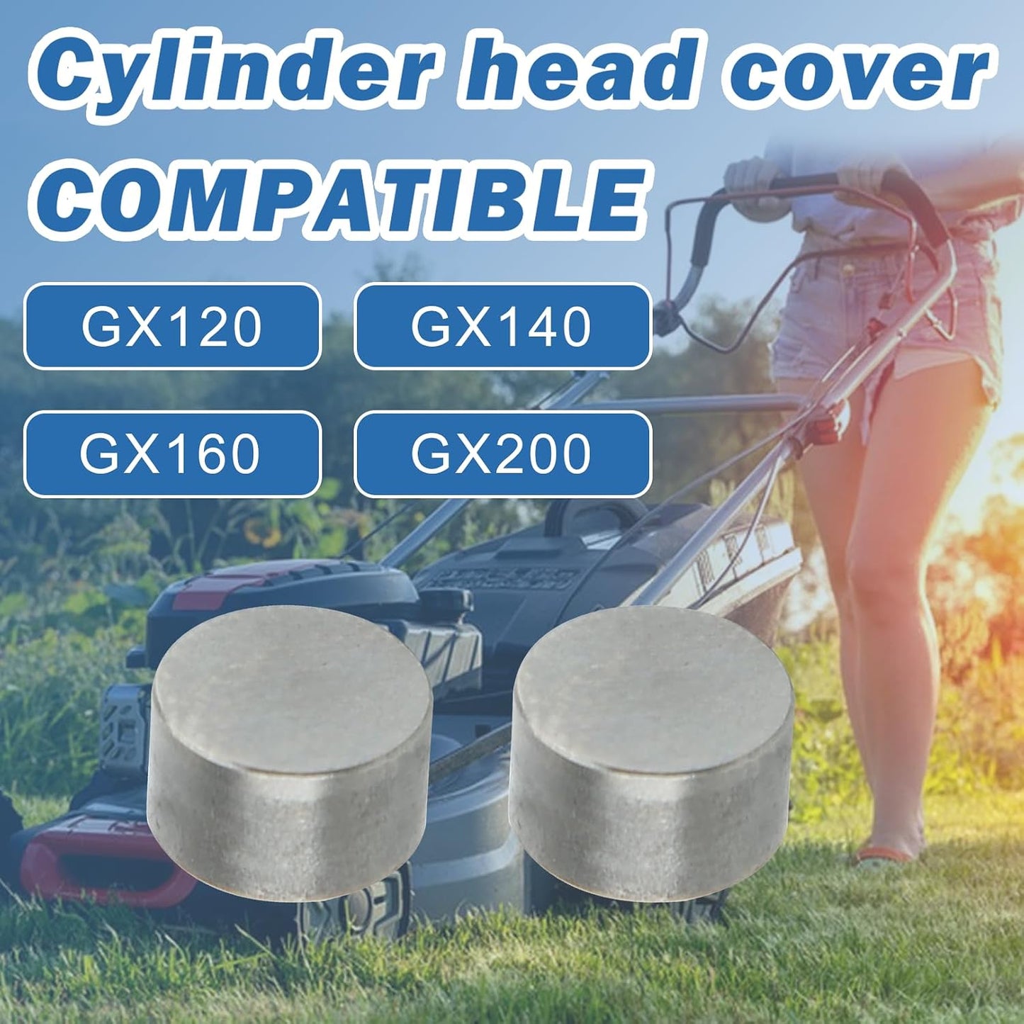 Válvula Rotador Tapa Protección Set Hond GX120-200