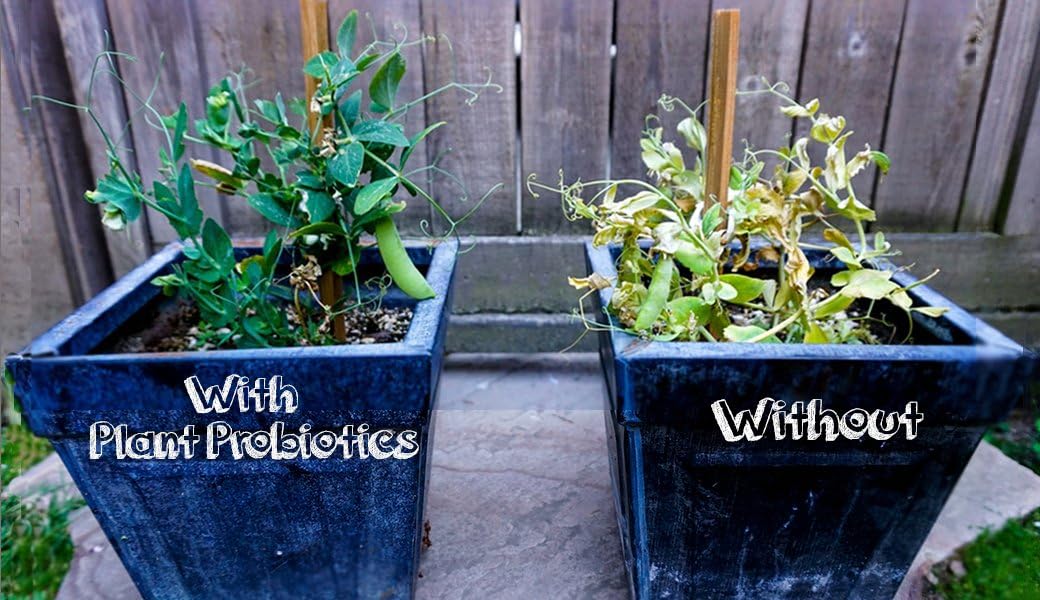 Probióticos para Plantas de Jardín 2oz en Polvo