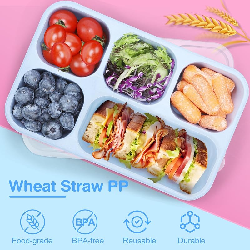 Caja Bento 3 Recipientes 5 Compartimentos para Aperitivos y Viaje