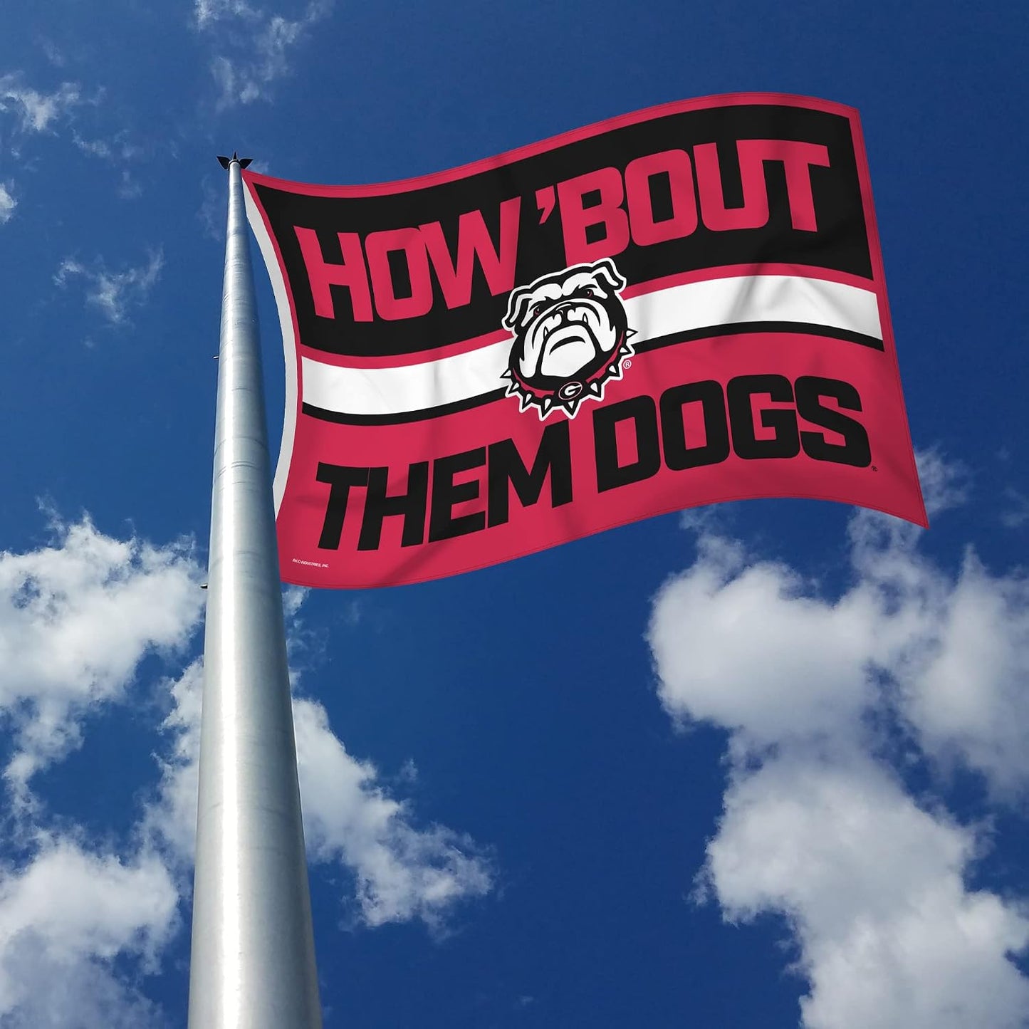 Bandera NCAA 3x5ft para interiores y exteriores