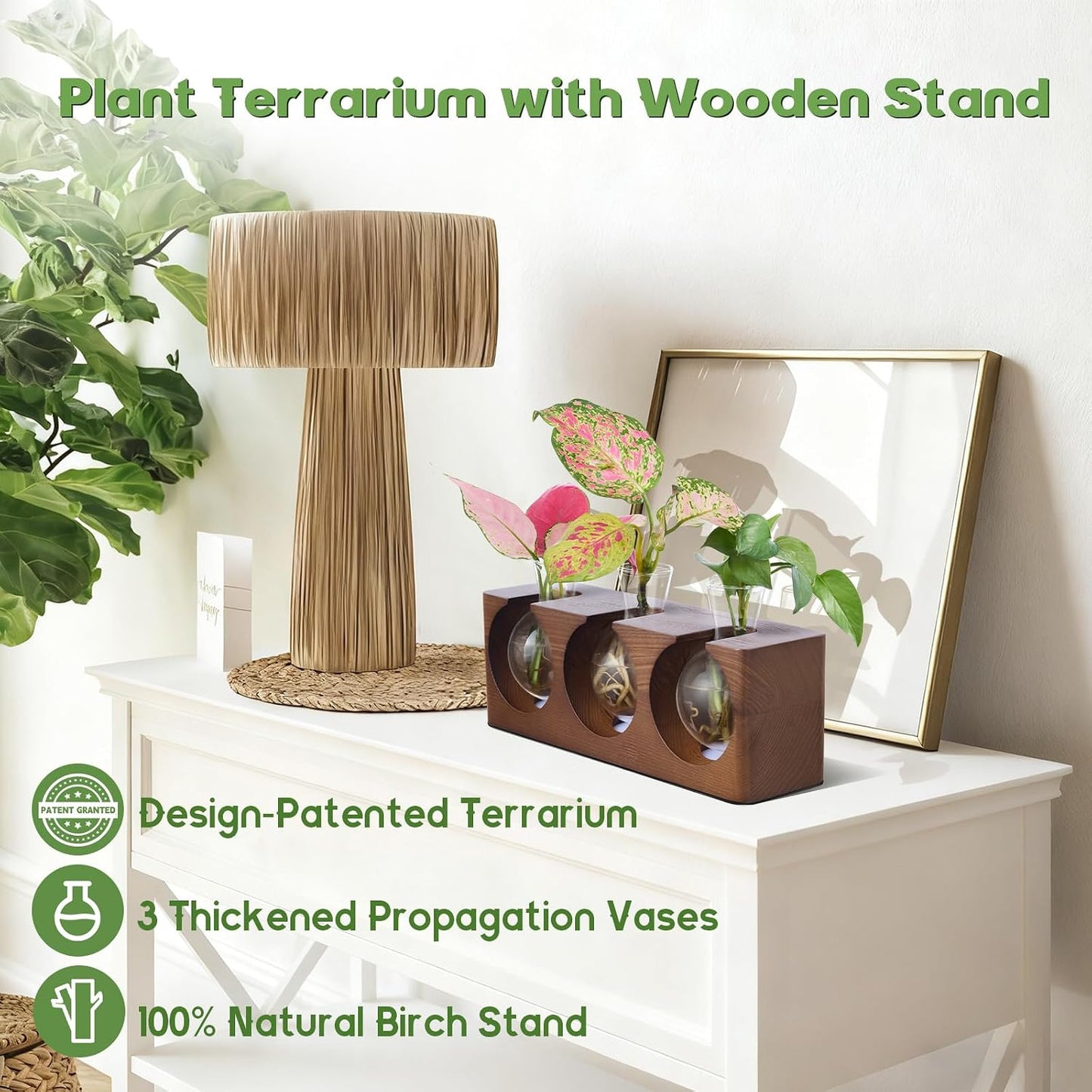 Soporte propagación plantas madera 4 modos LED 3 jarrones vidrio