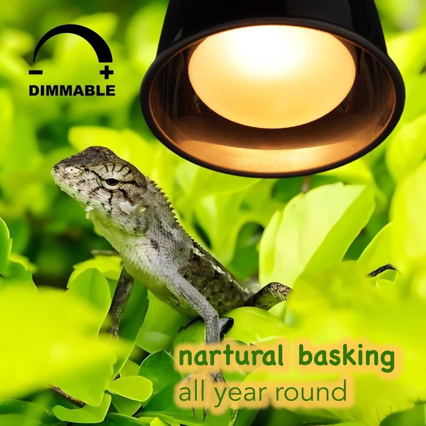 2 Bombillas Calor UVA 75W para Reptiles Infrarrojo