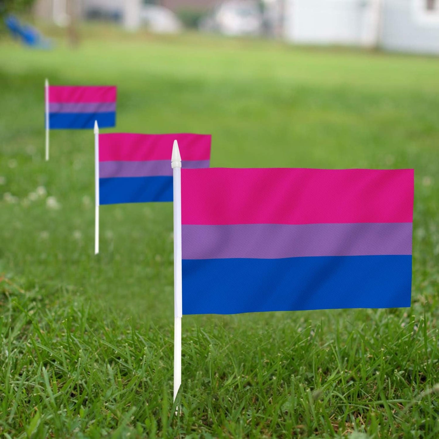 12 Banderas Bisexual Mini 5x8pulg Resistentes