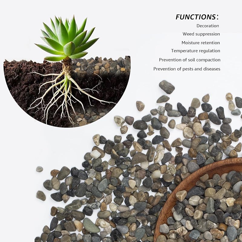 Rocas decorativas para pecera y jardín 2lb 1/5pulg