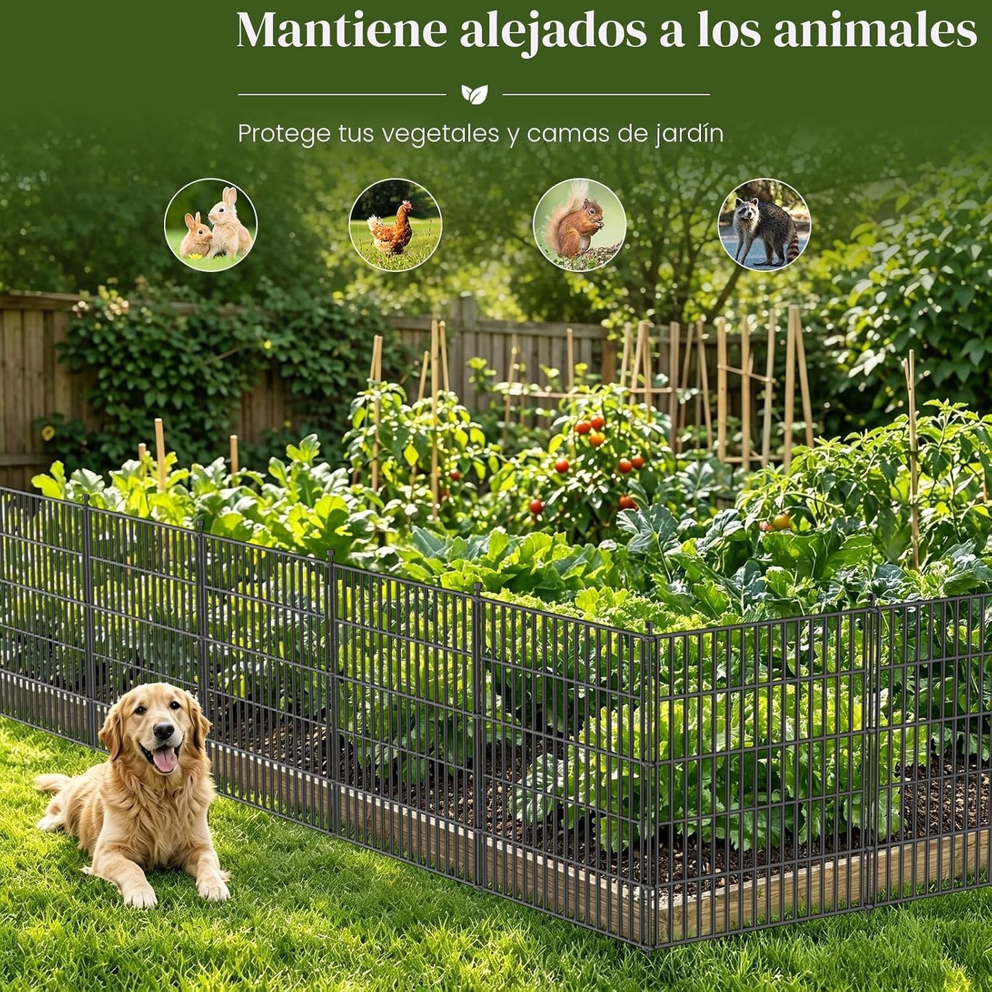 10 Paneles Valla Decorativa Jardín 24" x 20ft Antioxidante