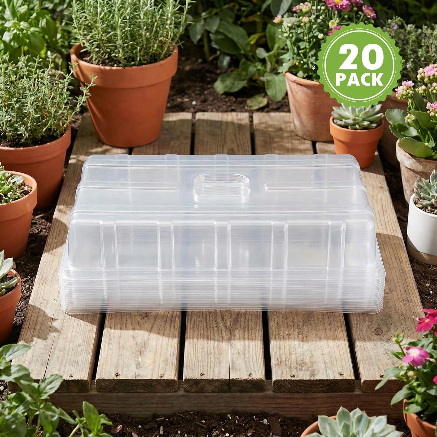 Cúpula humedad plástico transparente 3.6pulg para plantas