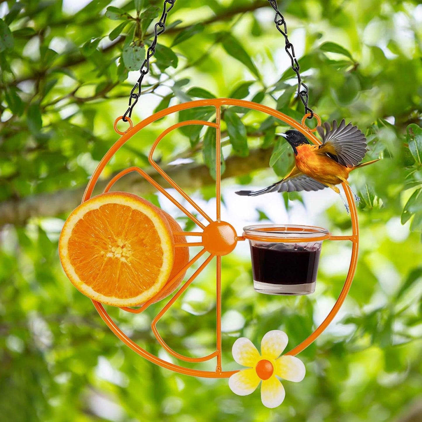 Comedero pájaros jalea naranja al aire libre
