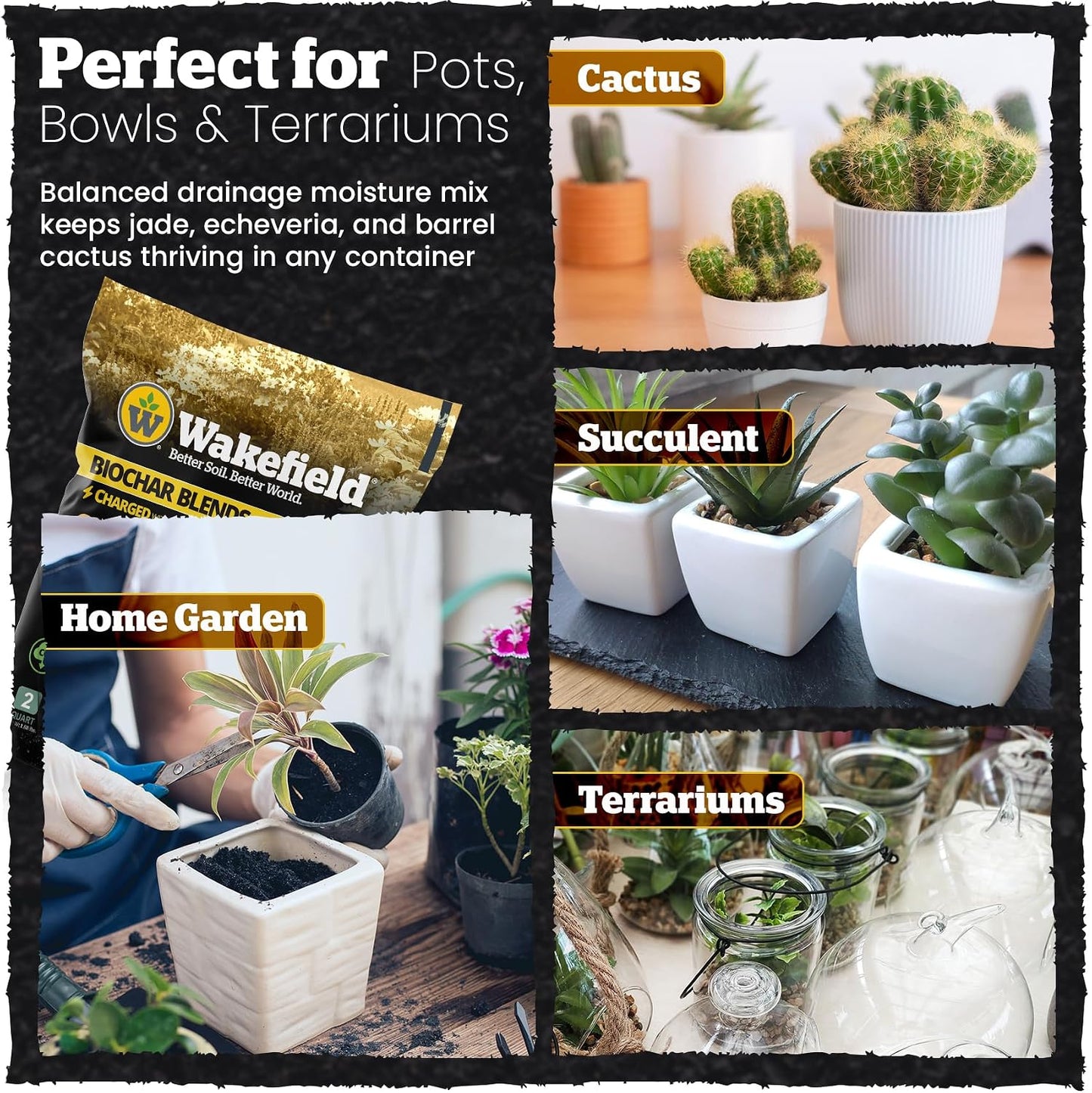 Mezcla tierra para cactus y suculentas con CarbonBoost