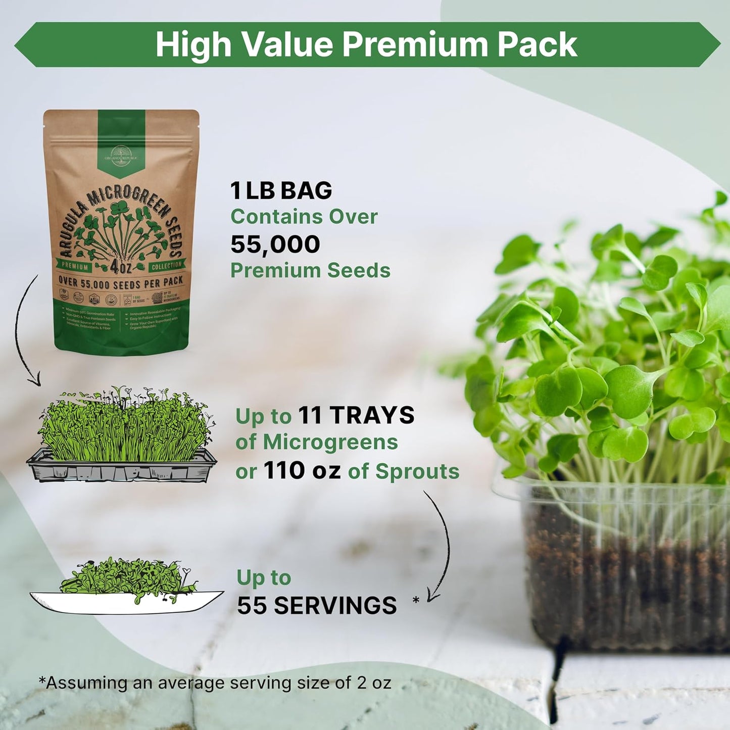 Semillas rúcula microgreens 4oz fibra coco aeroponía