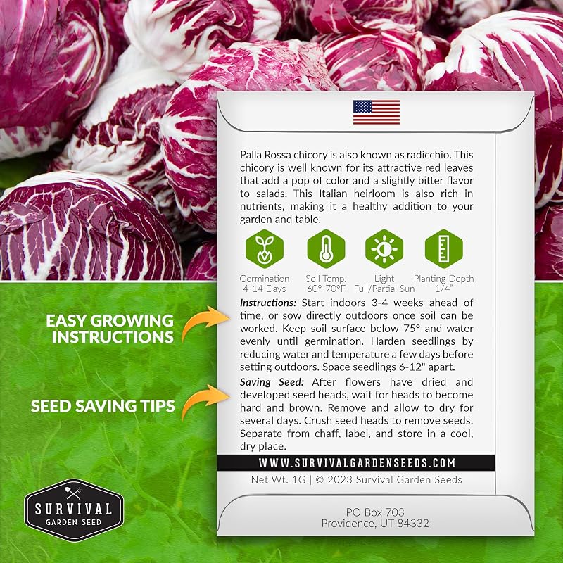 Semillas achicoria para plantar radicchio rojo huerto casero