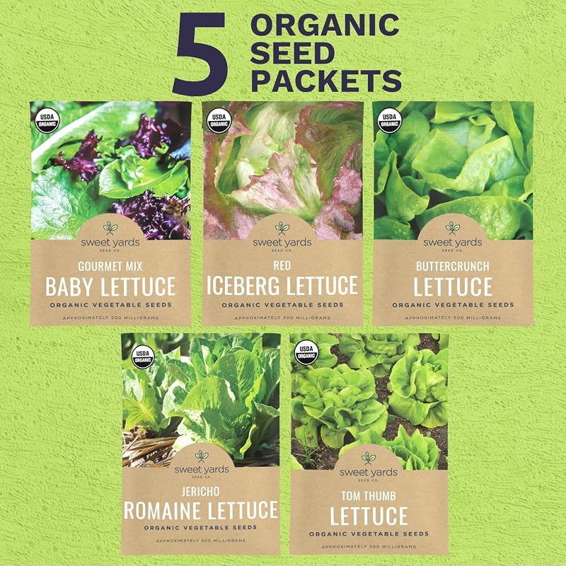 Paquete 5 semillas orgánicas lechuga y verduras para siembra