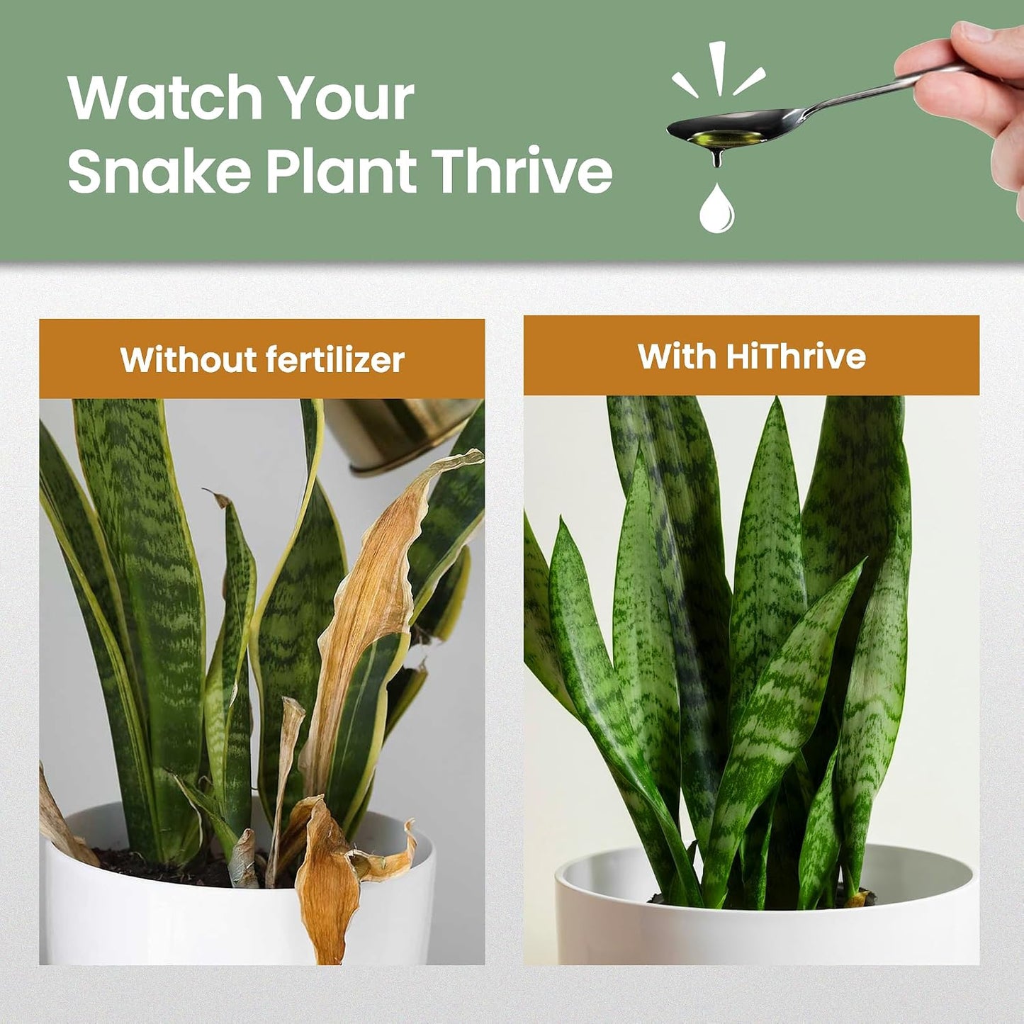 Fertilizante Planta Serpiente 16oz 96gal Hojas Fuertes