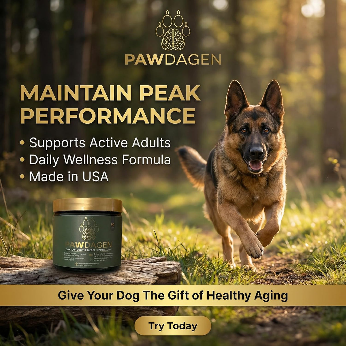 Suplemento longevidad perros NMN CoQ10 14 ingredientes