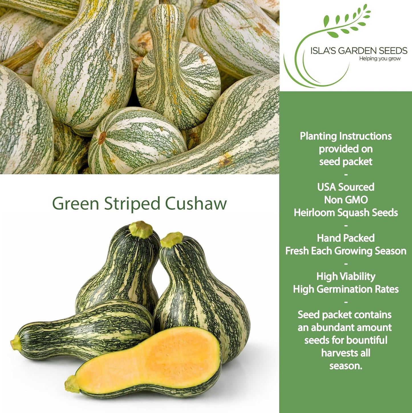 Semillas calabaza Cushaw a rayas verdes 25 unidades sin OMG