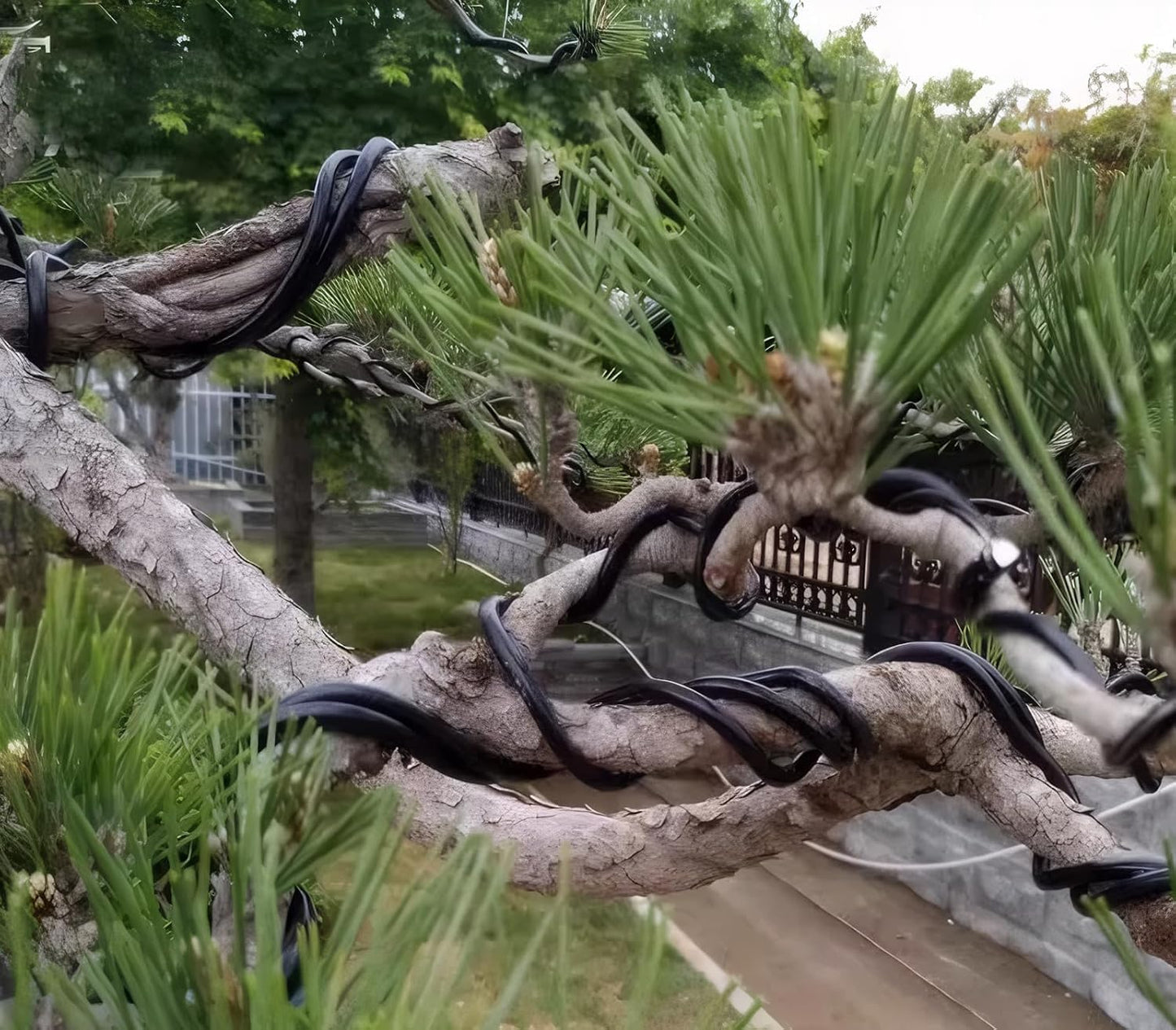 Alambre aluminio anodizado 0.118pulg 32.8ft para bonsái