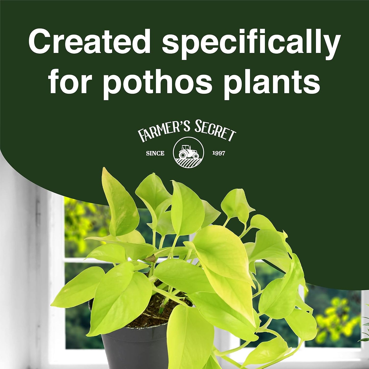 Fertilizante líquido pothos 8oz 6:5:3 fortalece raíces