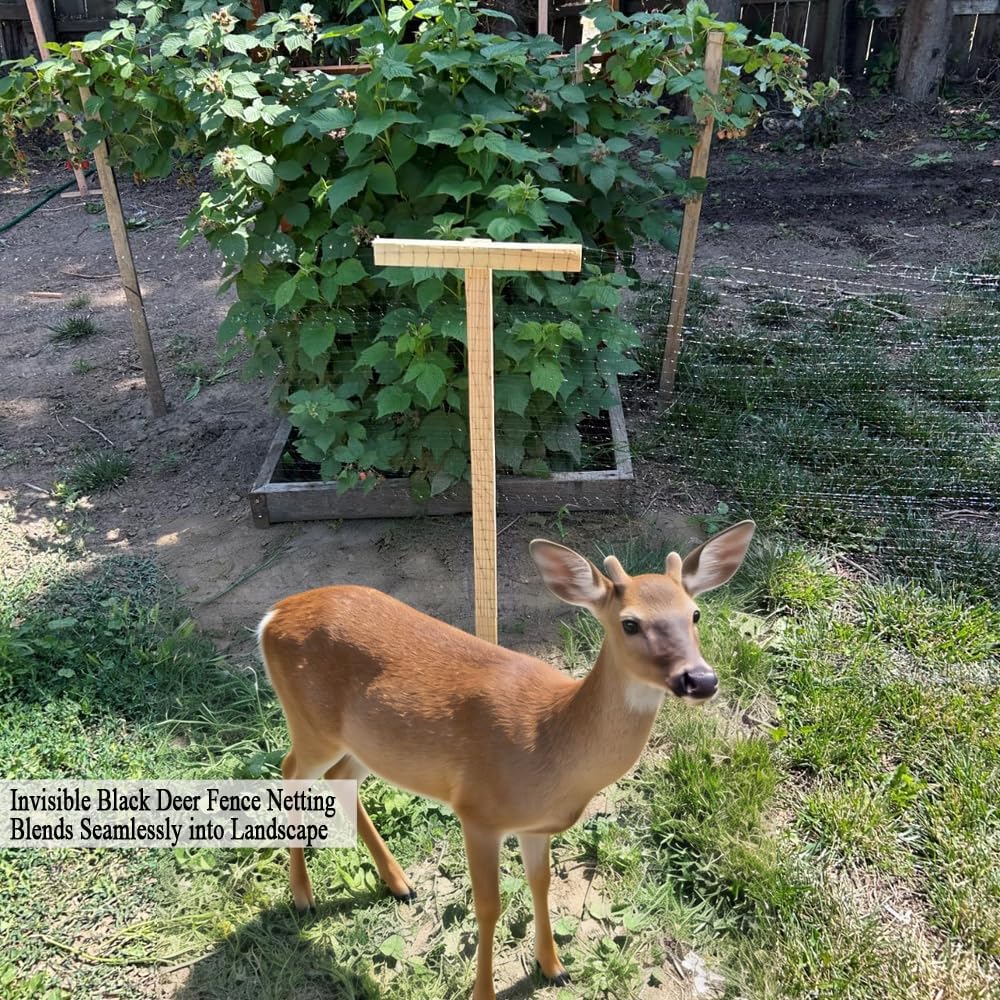 Red valla ciervo 6.5x13pies para jardín contra pájaros y animales