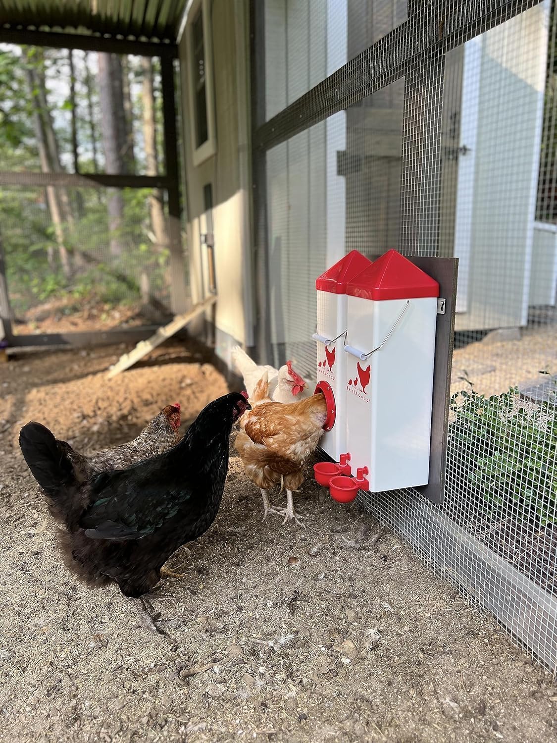 Set bebedero comedero pollo 10lbs 2gal