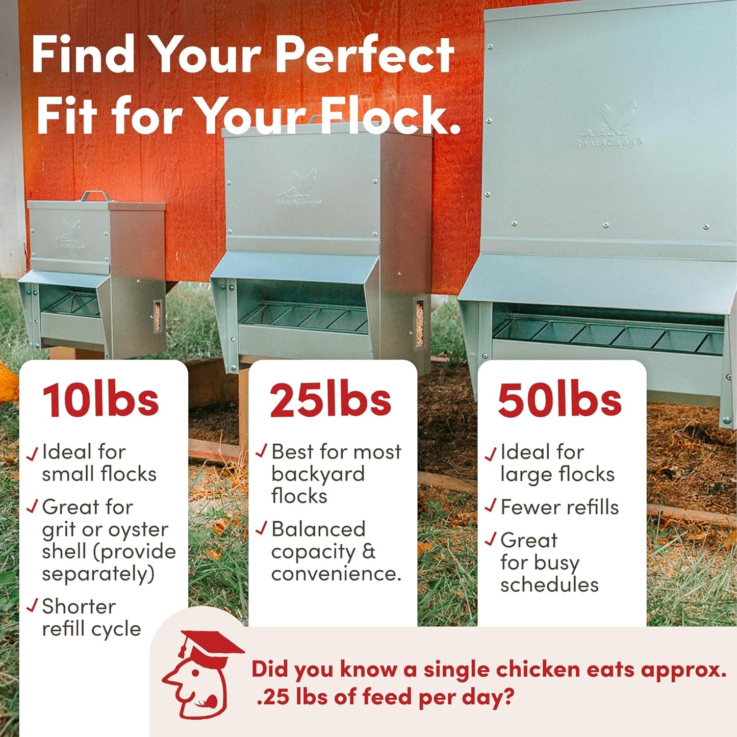 Alimentador canaleta metálica con tapa para aves 10lb