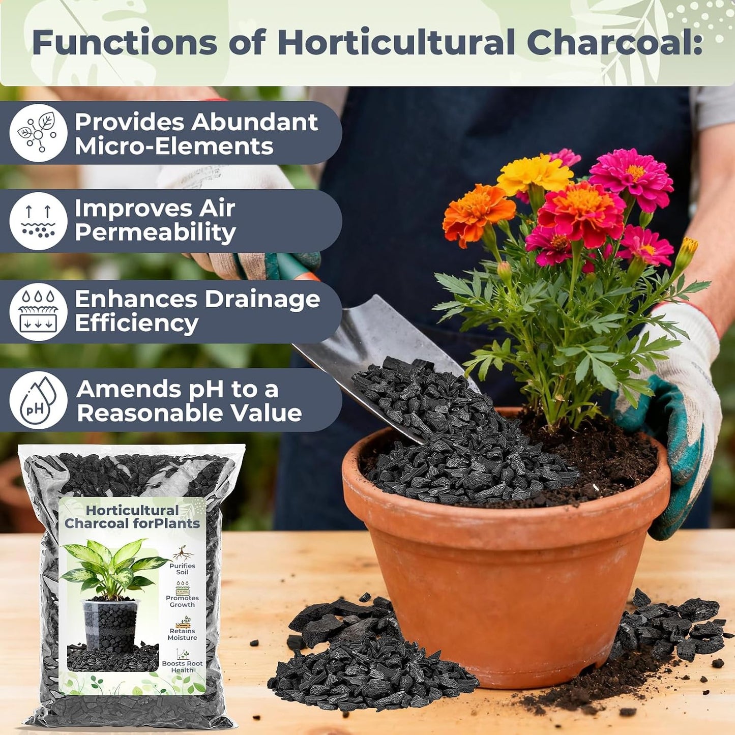 Carbón hortícola para plantas 1qt. Biochar suelo interior