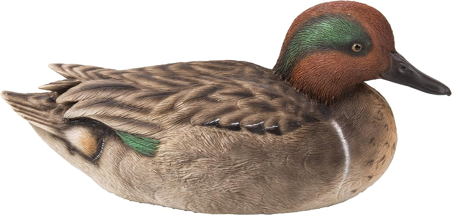 Mallard Grande con Ala Verde para Piscinas y Jardín