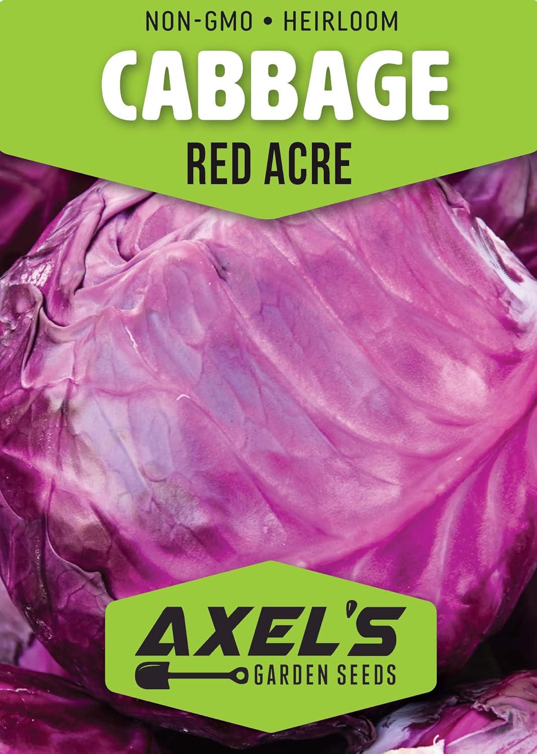 Semillas col de acre rojo para plantar en huerto 200 pzas