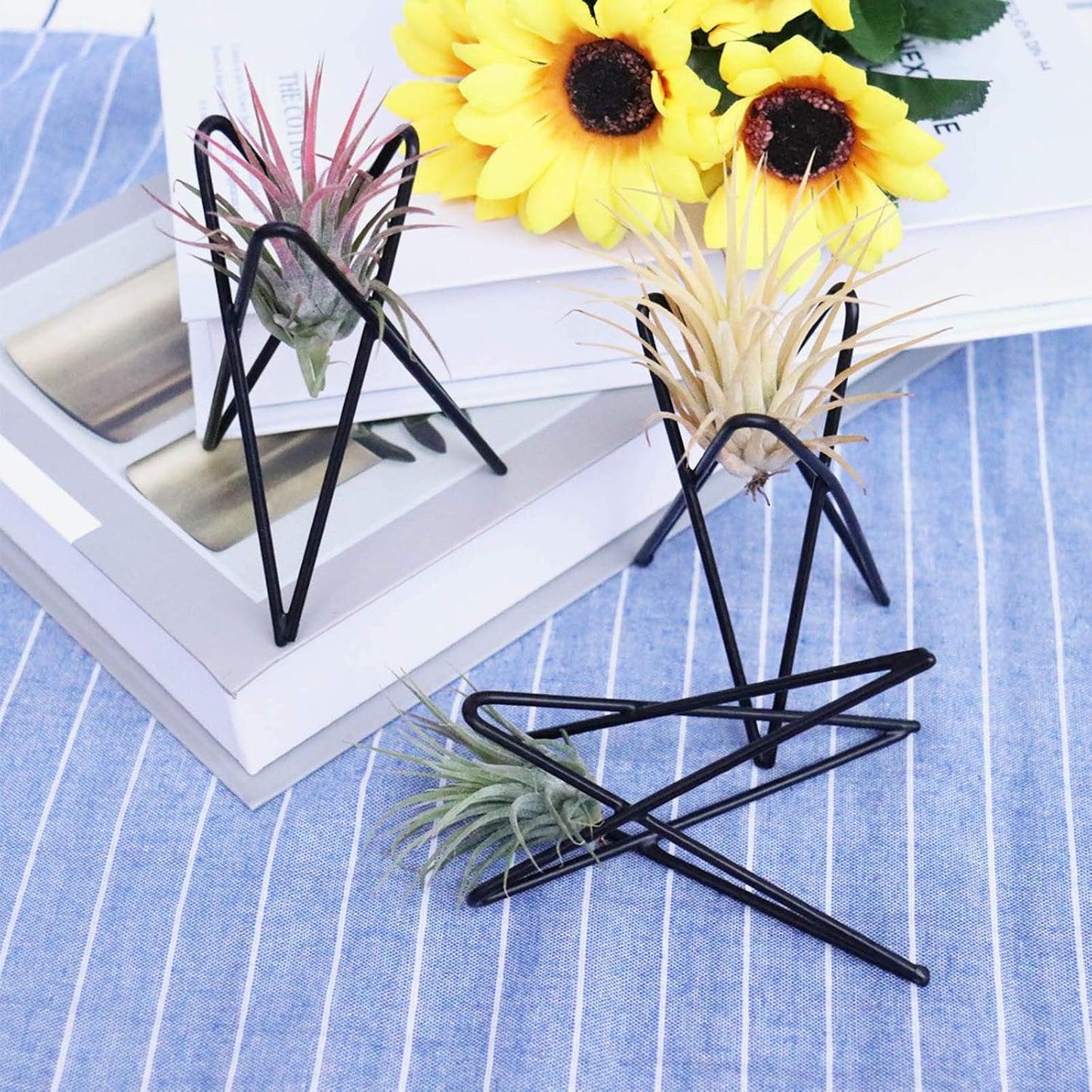4 Soportes plantas aire base Tillandsia metal geométrico