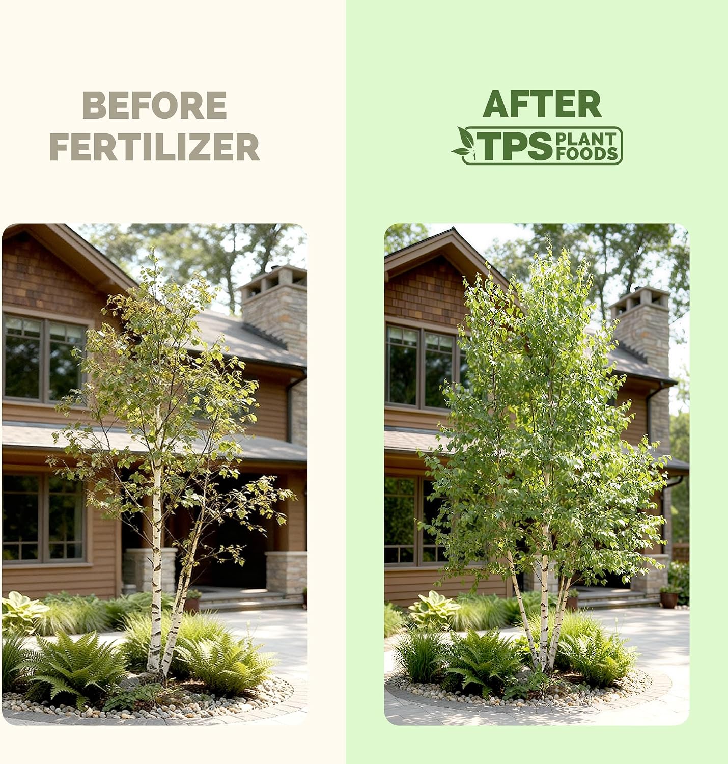 Fertilizante Abedul Líquido para Plantas 32oz