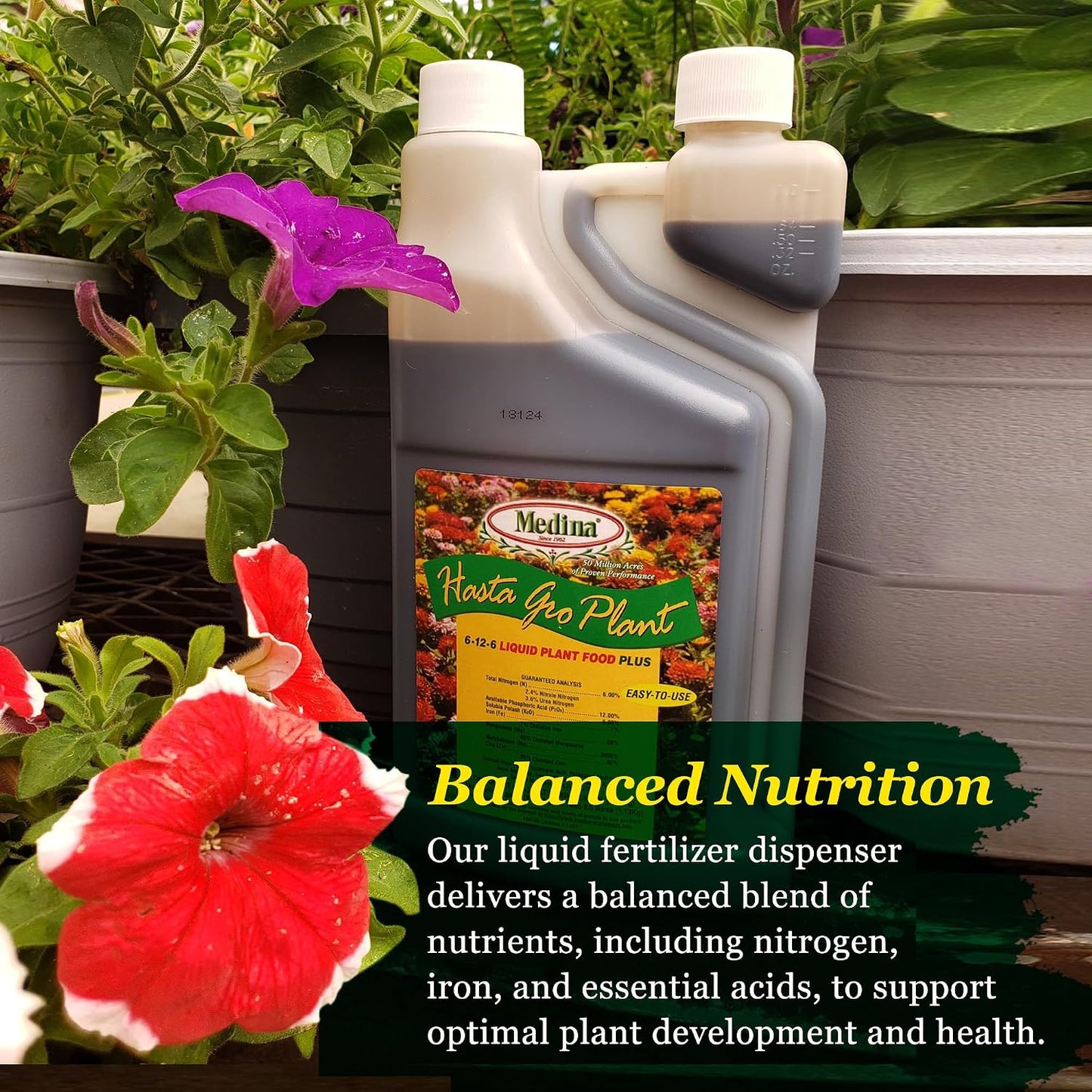 Alimento vegetal para gatos 32oz