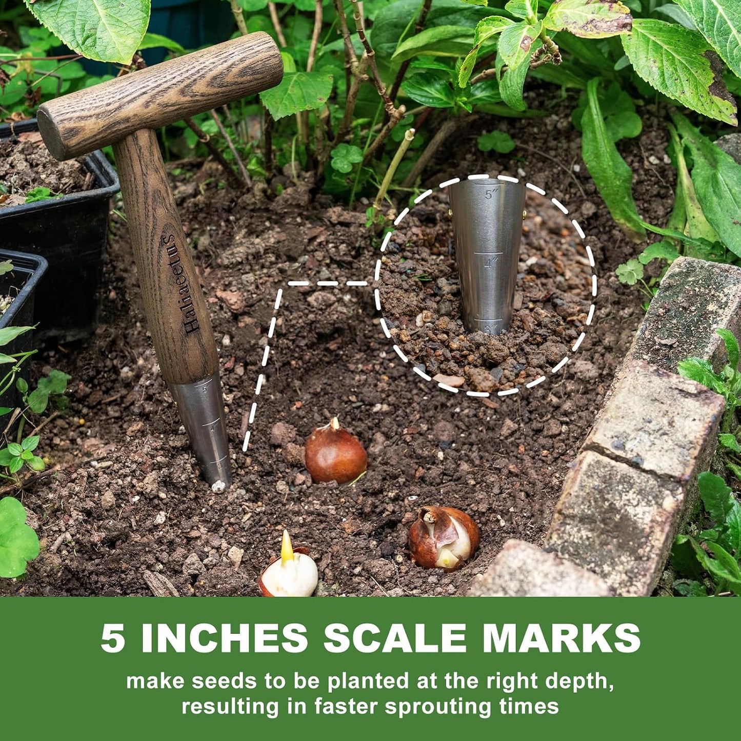 Herramienta jardinería 11.3" mango madera L punta acero inox