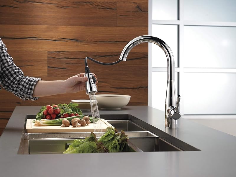 Grifo cocina cromado rociador extraíble 9113-DST