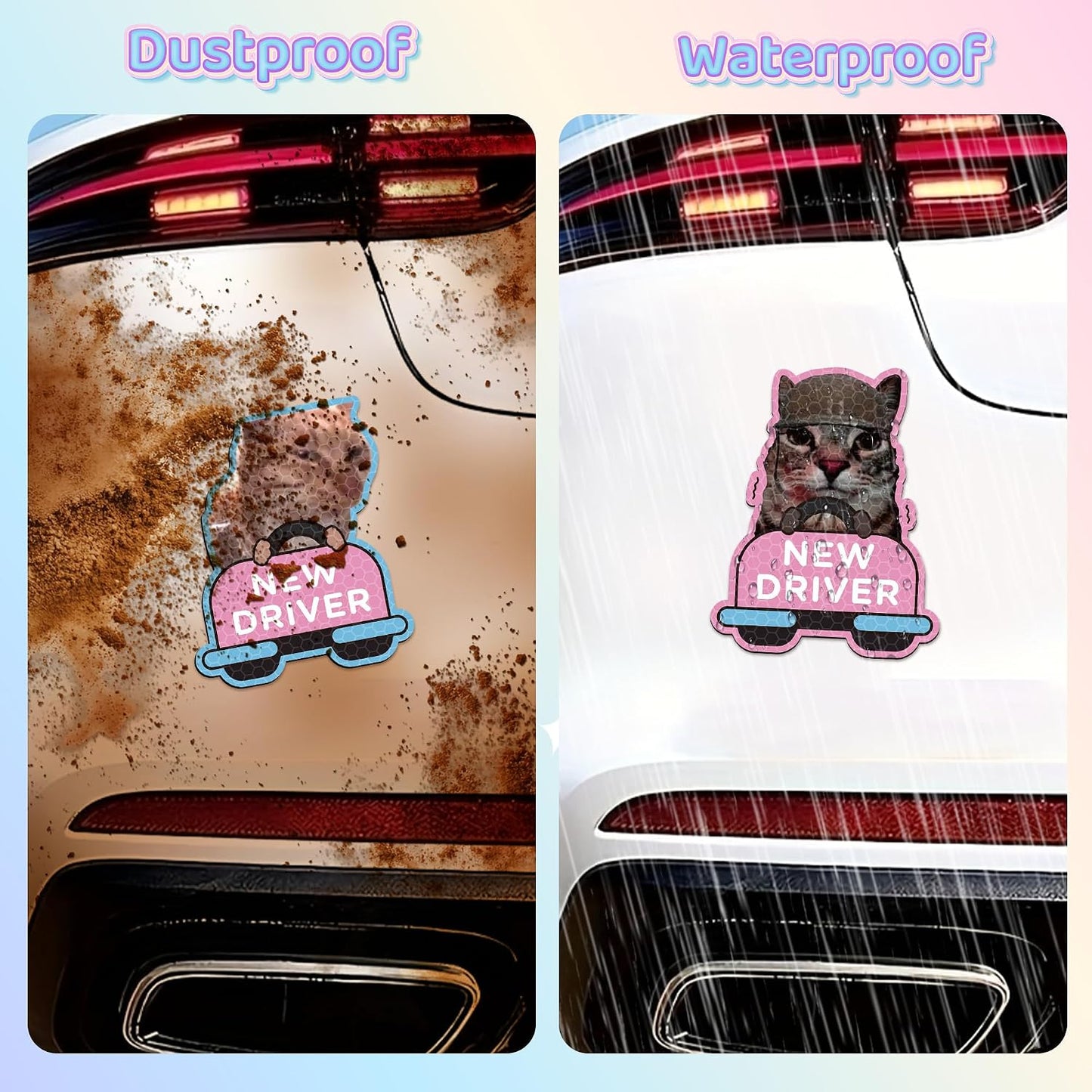 4 imanes gato divertido adhesivo para parachoques coche