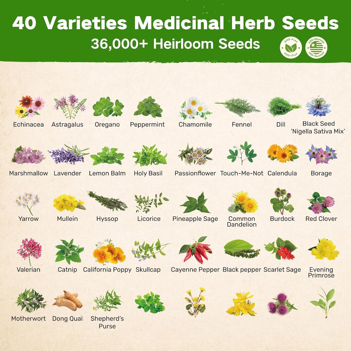 Cofre semillas hierbas medicinales 40 variedades sin OMG