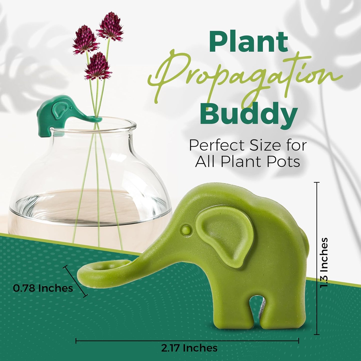 Soporte propagación plantas 3 elefantes para brotes jarrón